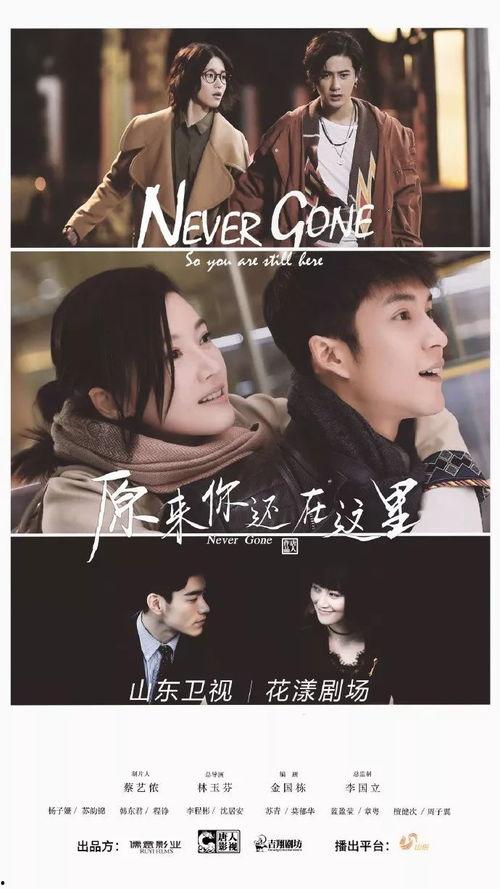 原来你还在这里在线观看,重温经典，共赴青春回忆之旅  第2张