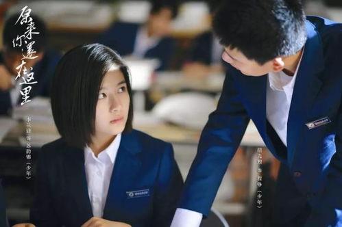 原来你还在这里在线观看,重温经典，共赴青春回忆之旅  第3张