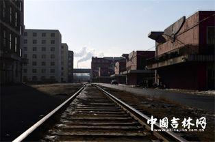 长春市大学爆料事件最新